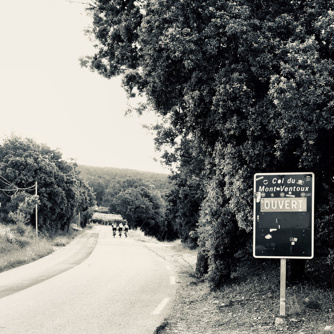 Mont Ventoux to Bédoin Ascent